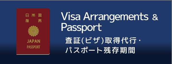 VISAパスポート